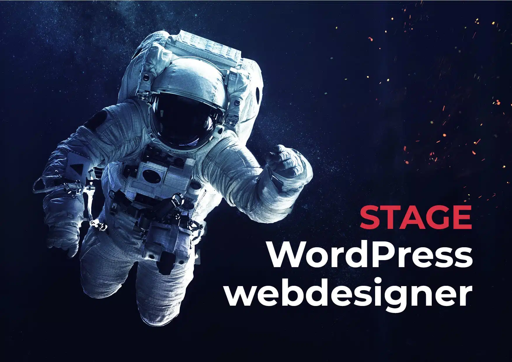 stage wordpress webdesigner gent