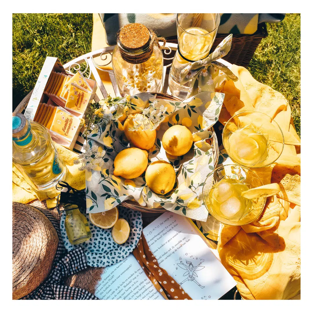 Een moodboard met zomerse items op een picknickkleed in een groene omgeving. Te zien zijn citroenen, een fles water, glazen met drank, bloemen, een boek, en enkele decoratieve items.