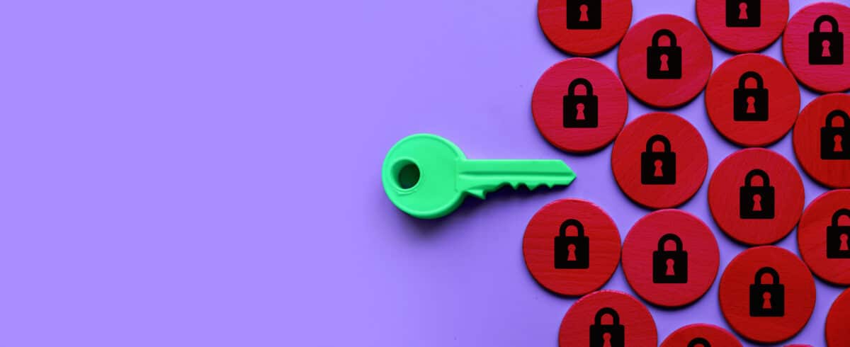 Veilige wachtwoorden, een sleutel die past op vele sloten