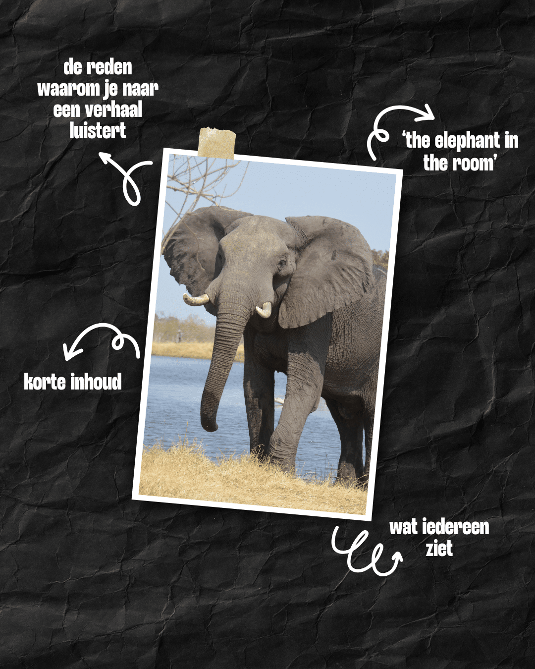 De olifant - een techniek om beter te worden in verhalen vertellen uit het boek 'Storyworthy' van Matthew Dicks