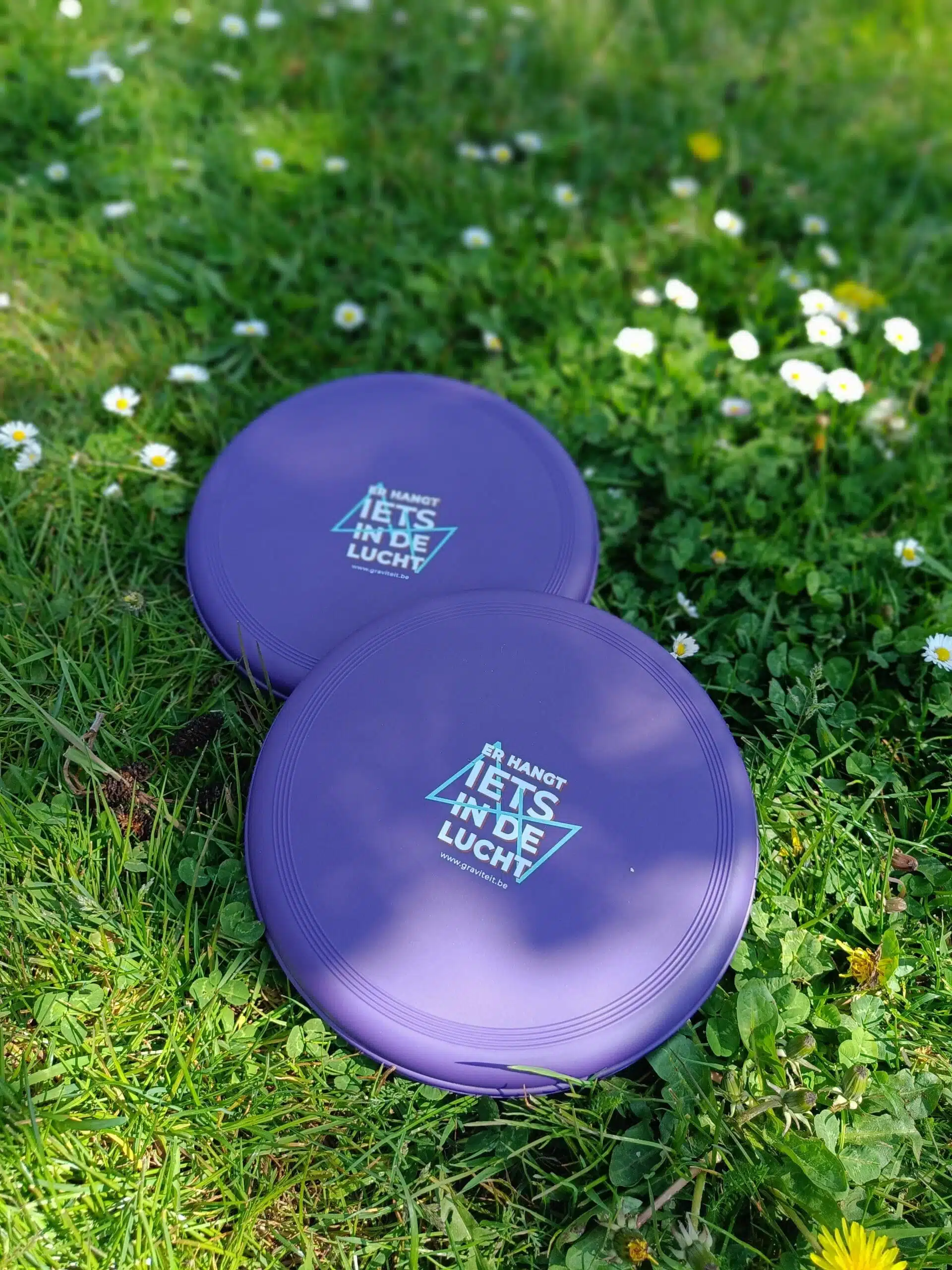 Twee paarse frisbees met de tekst "Er hangt iets in de lucht" liggen op gras met bloeiende madeliefjes.