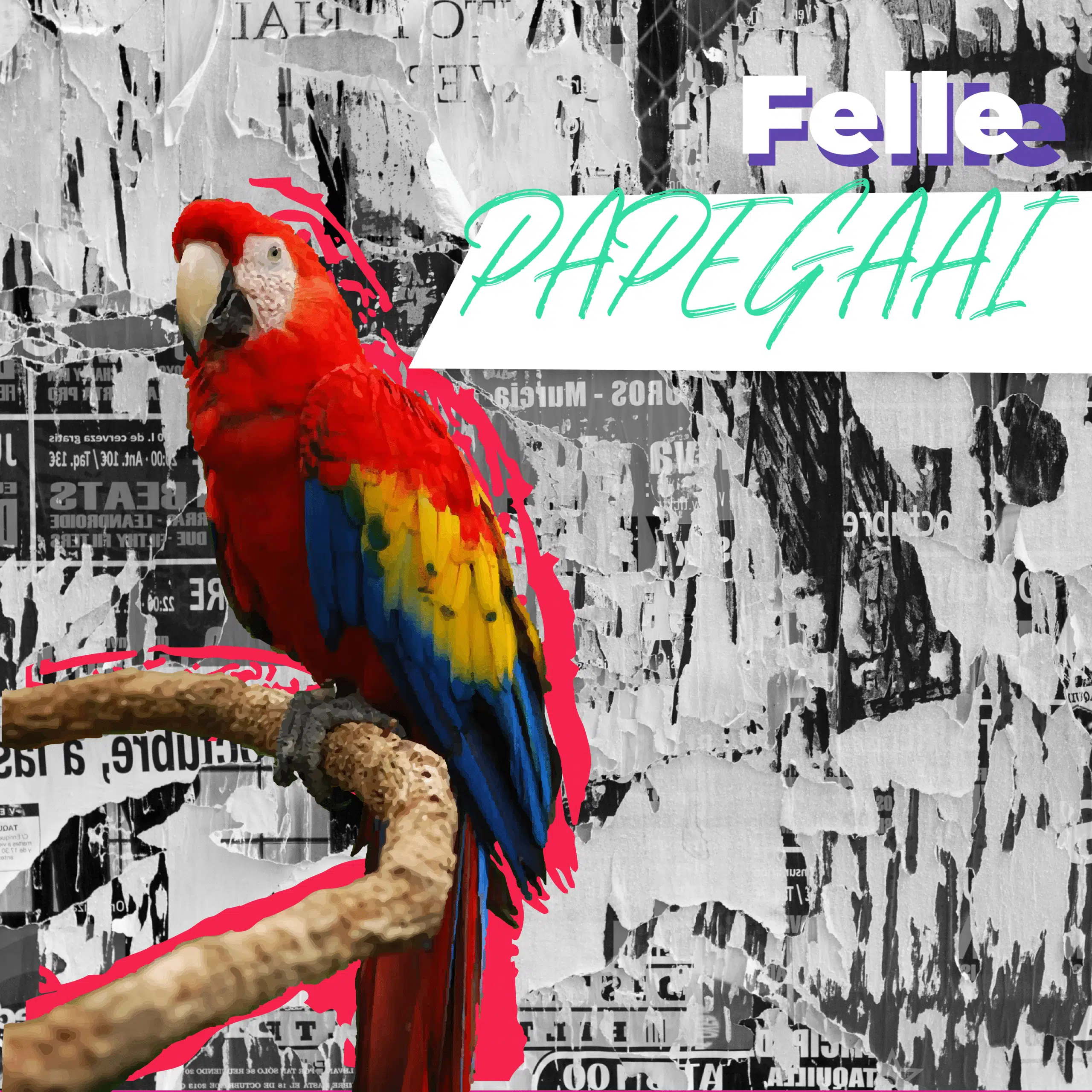 Communicatiebeesten: Rode, gele en blauwe papegaai zittend op een tak met de tekst 'Felle papegaai' tegen een grijze collage achtergrond.