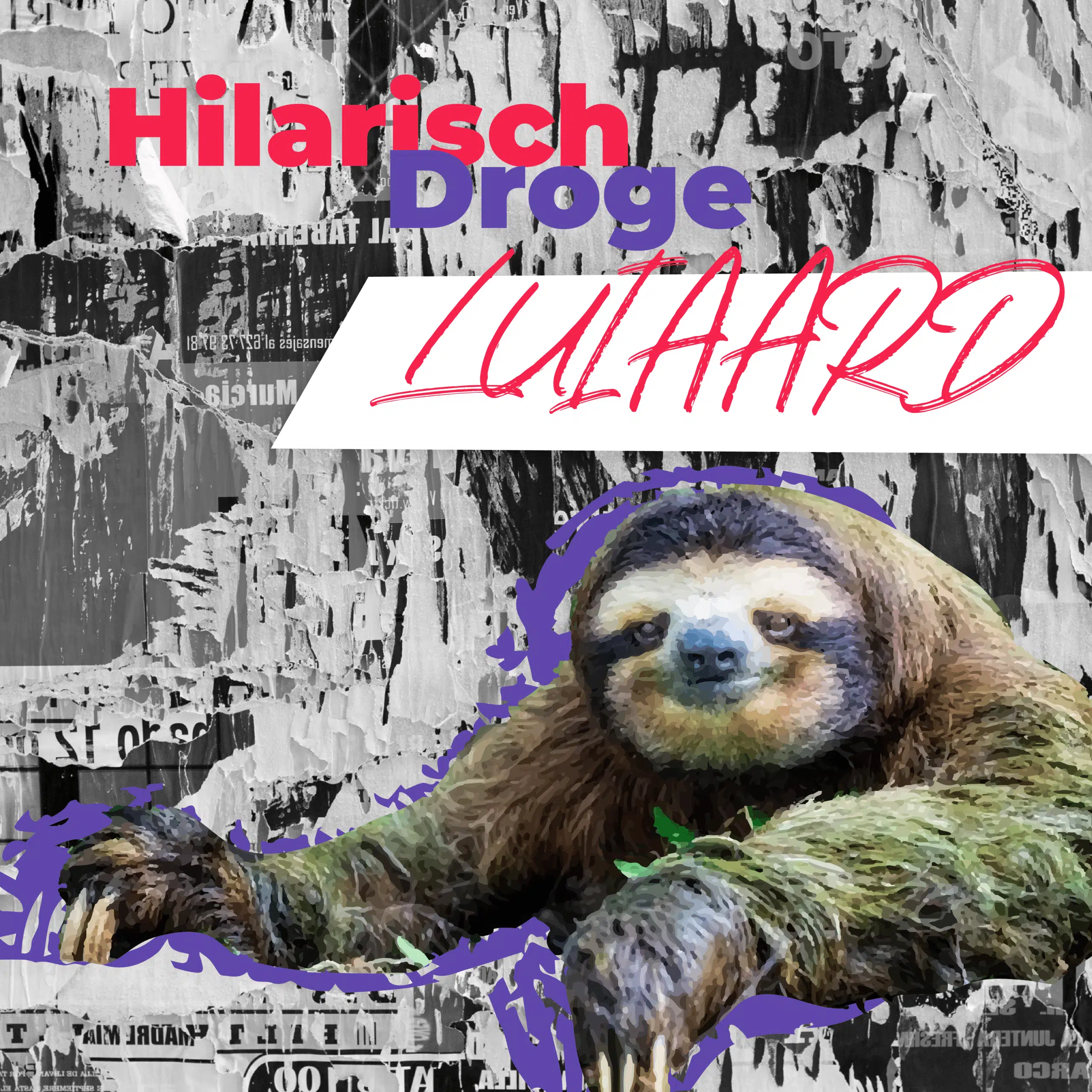 Communicatiebeesten: Luiaard hangend aan een tak met de tekst 'Hilarisch droge luiaard' tegen een grijze collage achtergrond.