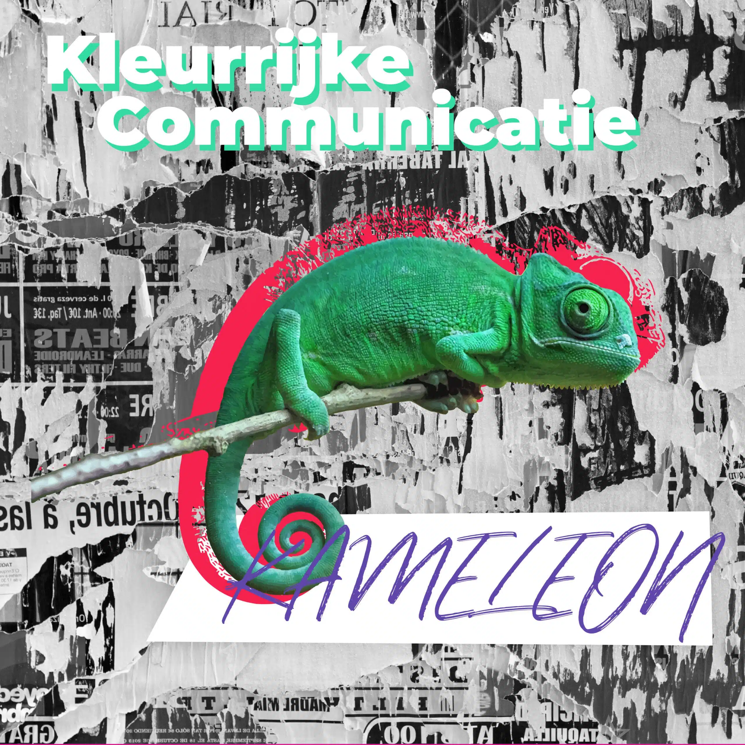 Communicatiebeesten: Kameleon op een tak met de tekst 'Kleurrijke communicatie kameleon' in kleurrijke letters tegen een grijze collage achtergrond.