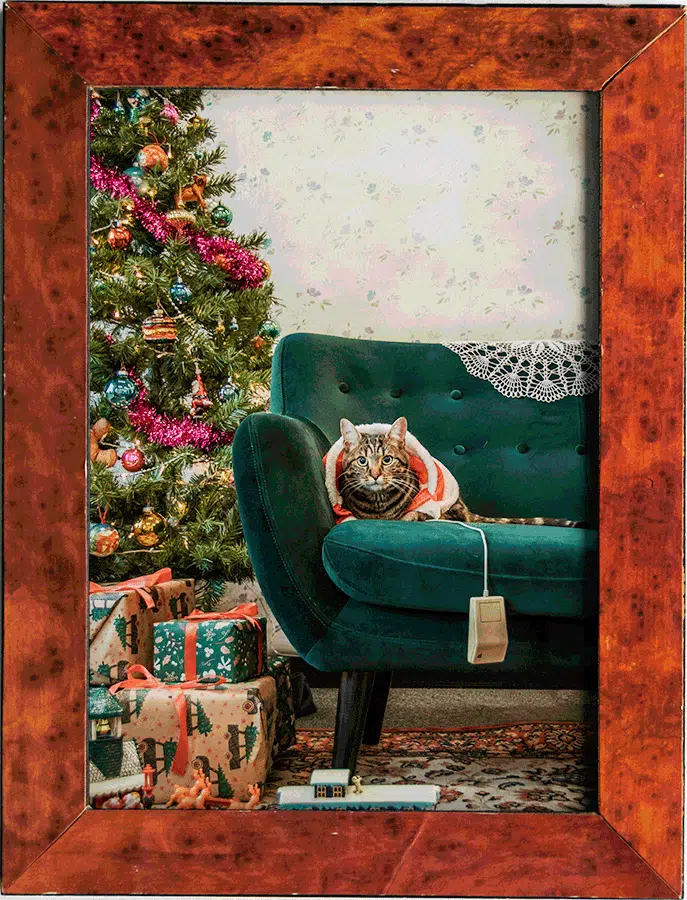 Kat zittend op een groene stoel voor een kerstboom met versieringen en cadeautjes, ingelijst in een houten frame.