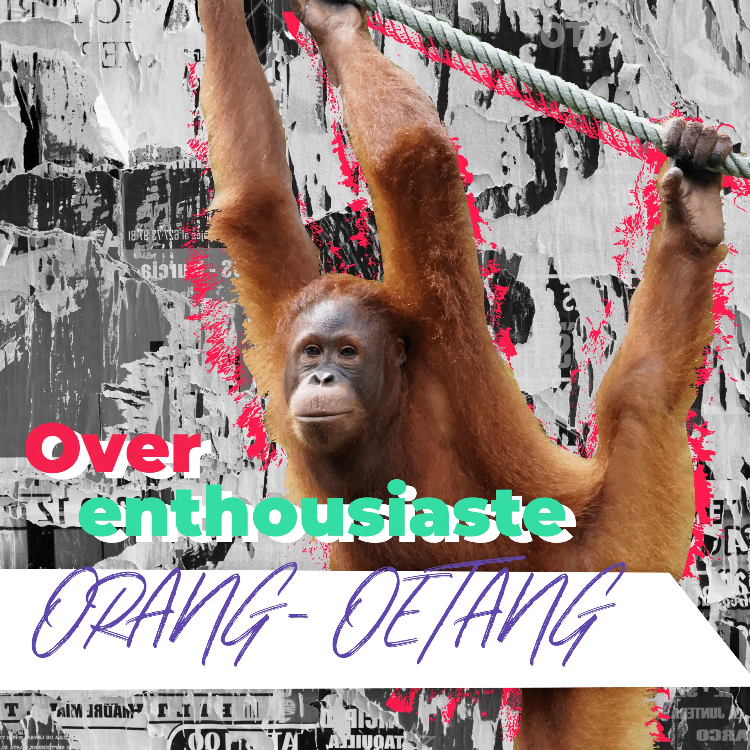 Communicatiebeesten: Orang-oetan die aan een touw hangt, met de tekst 'Over enthousiaste orang-oetan' in felgekleurde letters tegen een grijze collage achtergrond.