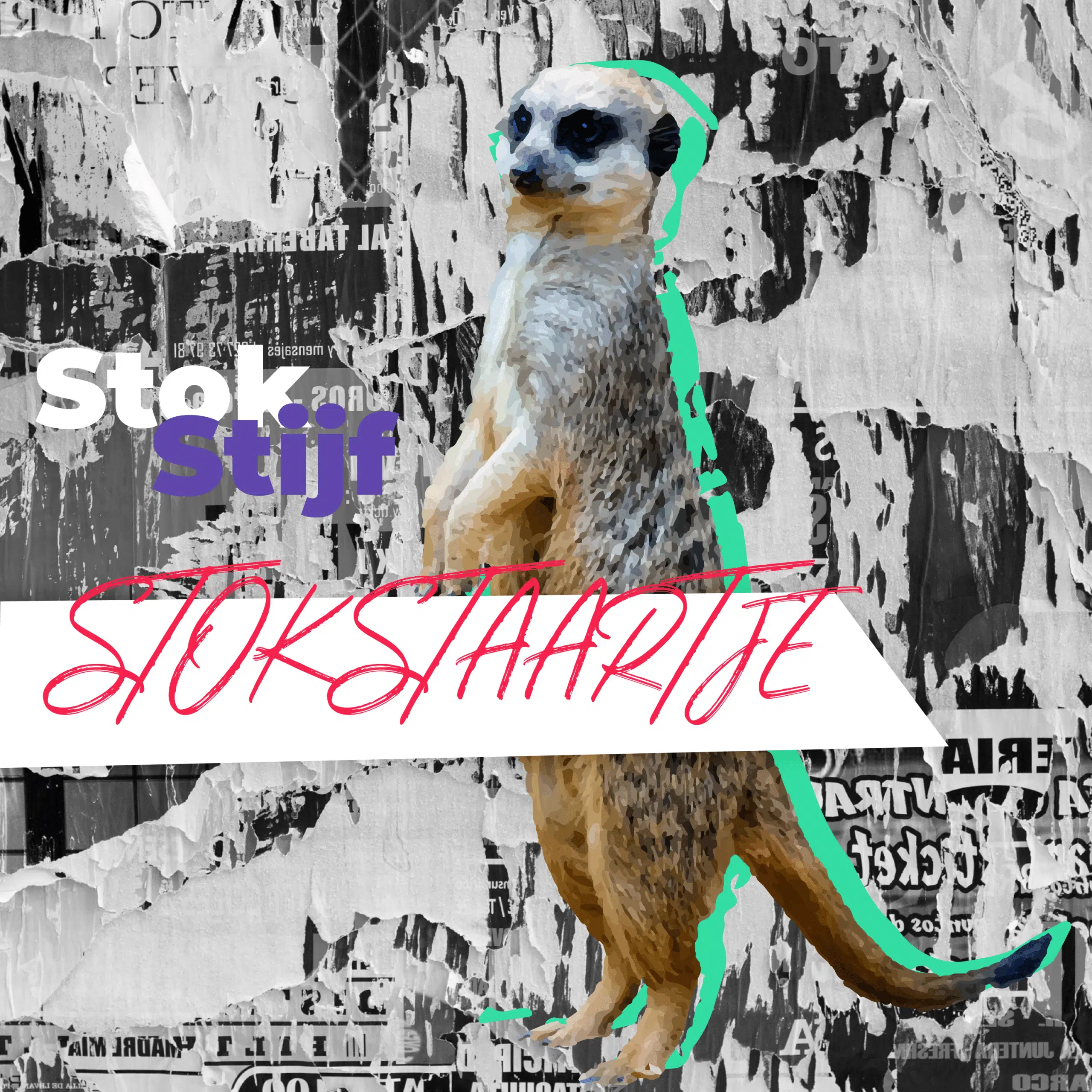 Communicatiebeesten: Stokstaartje staand rechtop met de tekst 'Stokstijf stokstaartje' tegen een grijze collage achtergrond.