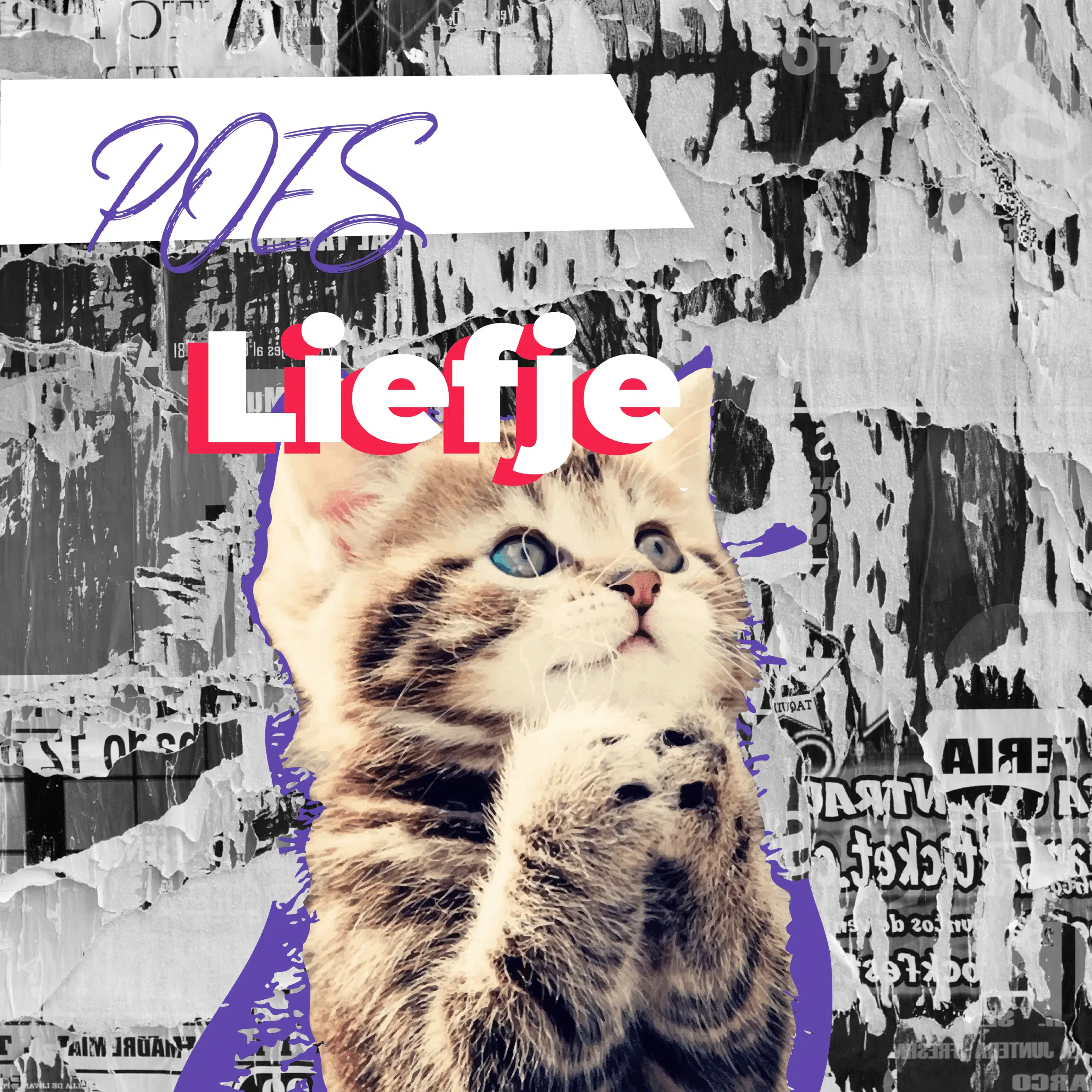 Communicatiebeesten:Kitten met opgetrokken pootjes en de tekst 'Poes liefje' in felgekleurde letters tegen een grijze collage achtergrond.