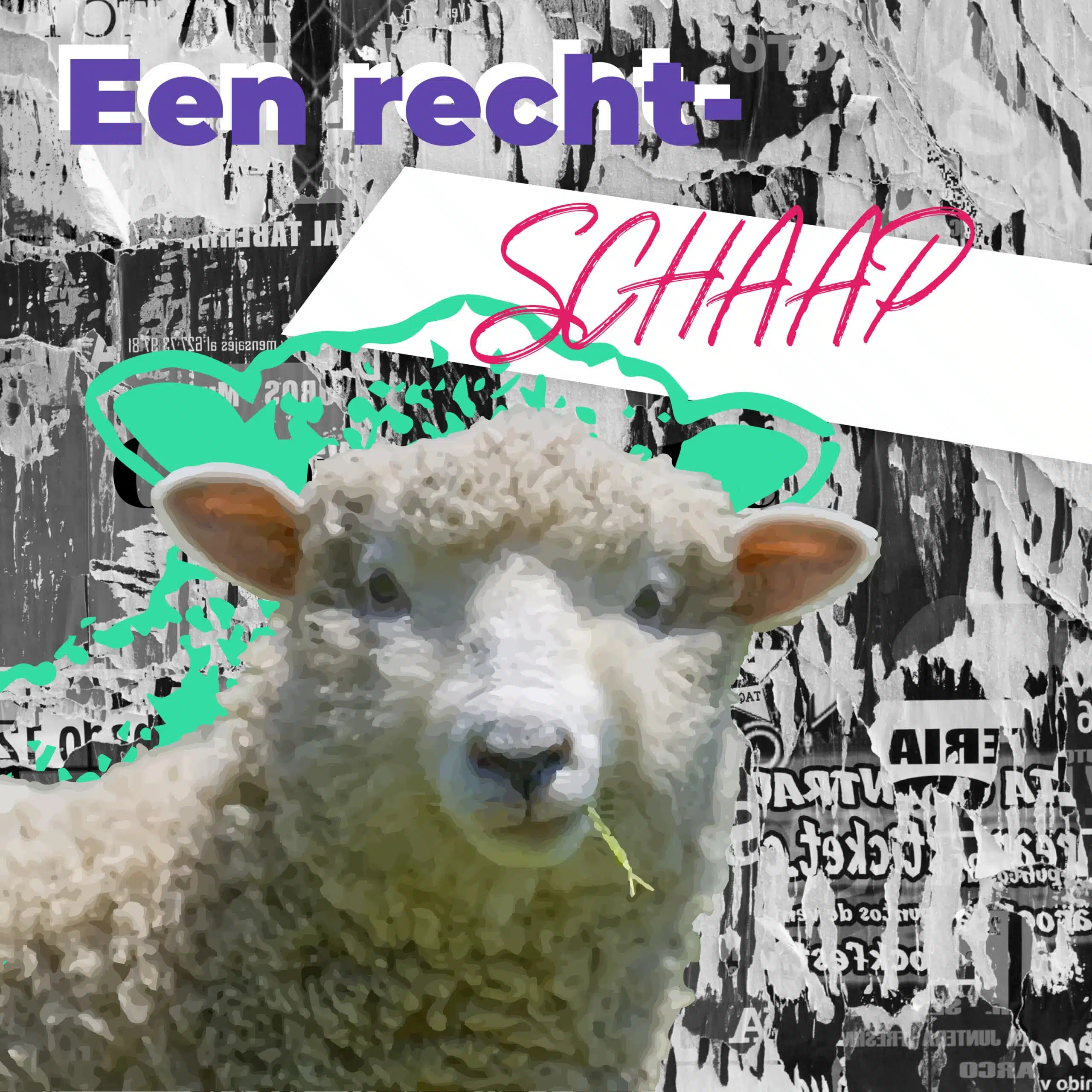 Communicatiebeesten: Schaap dat recht vooruit kijkt met de tekst 'Een recht- schaap' in kleurrijke letters tegen een grijze collage achtergrond.